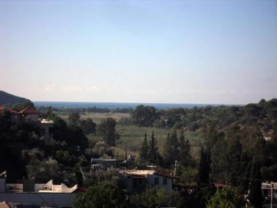 Patara Delfin - 21
