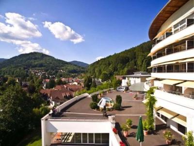 Schwarzwald Panorama - 17