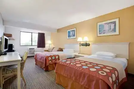 Super 8 by Wyndham/St. Petersburg Airport - 12