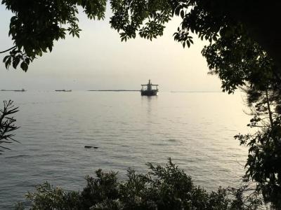 Virgilio - 71