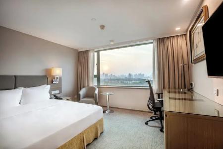 Holiday Inn Wuhan Riverside, An Ihg - 57