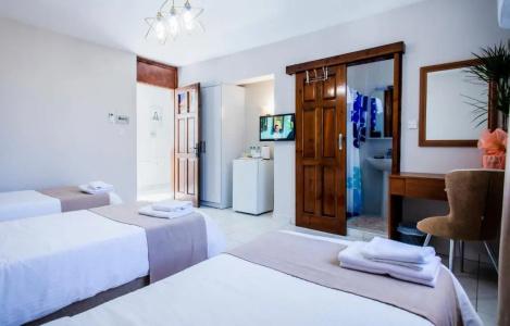Homelike guest house - 16