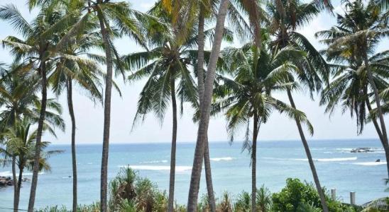 Maison D'hotes Sanda Beach - 17