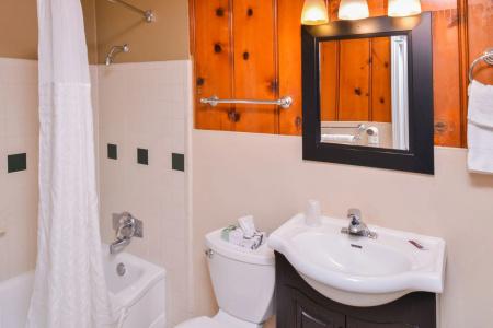 Courtesy Inn Downtown - 7