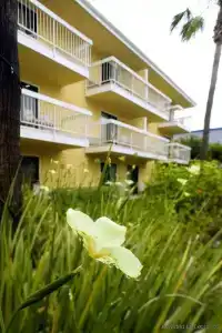 Four Points by Sheraton San Diego - Sea World - 18
