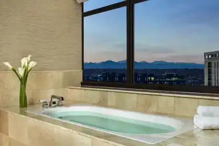 The Ritz-Carlton, Denver - 147