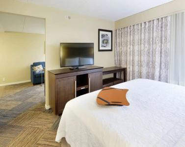 Hampton Inn Downtown - 50