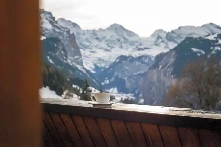 & Spa Silberhorn Wengen - 102