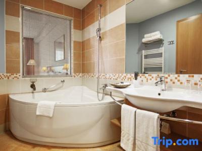 Grand Primus - Terme Ptuj - Savas & Resorts - 77