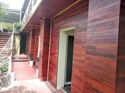 Monkey Island Resort - 46