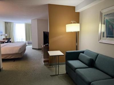 SpringHill Suites by Marriott - 26