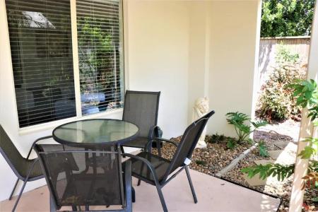 Noosa River Palms - 179