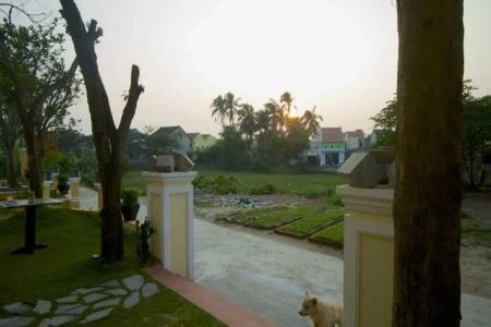 Tea Garden Homestay - 21