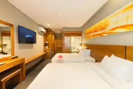 Maple & Apartment - 3