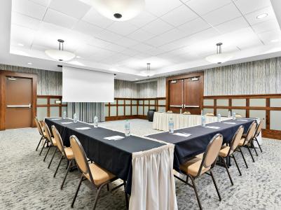 Hampton Inn & Suites - 41