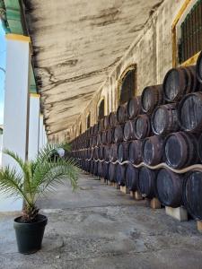 Albariza Boutique - 19