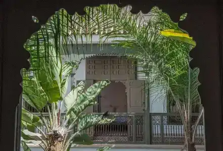 Riad Jaaneman - 17
