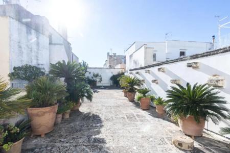 b&b Insula - 9