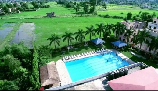 Dreamland Gold Resort & - 6
