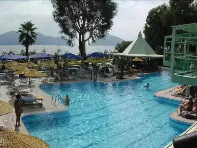 Flamingo - 8