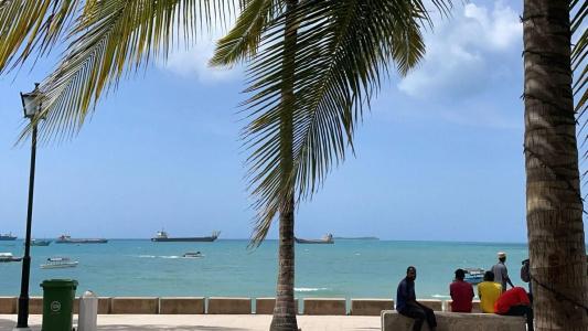 Mizingani Seafront - 22