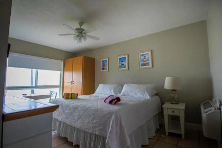 Shore View - 1