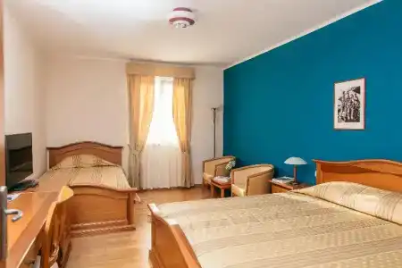 Spongiola - 80