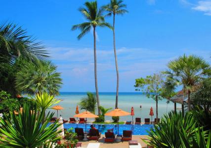 Palm Coco Mantra - 19
