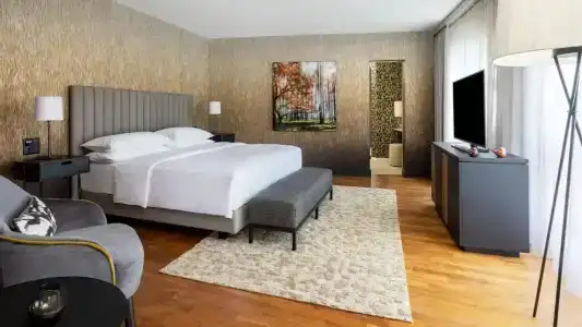Swissotel Le Plaza Basel City - 128