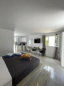 Zoumis Studios - 207