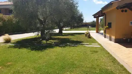 L'Antico Vigneto - 7