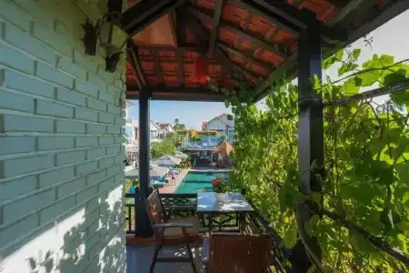 Betel Garden - 88