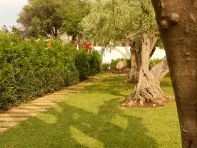 Collina - 5