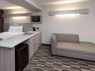 Microtel Inn and Suites by Wyndham / Shreveport - 55