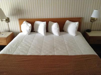 Royal Garden Inn Downtown - 2