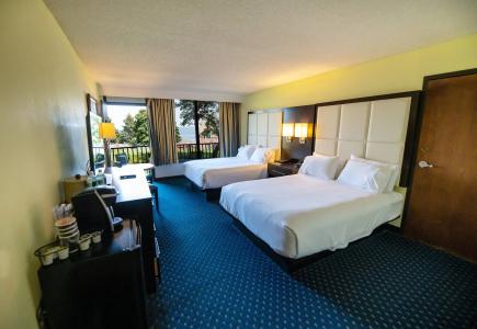 Holiday Inn Regency, An Ihg - 4