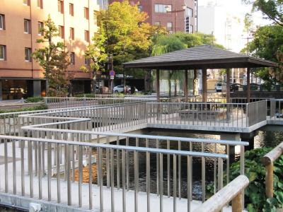 Central Okayama - 17