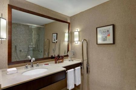 Sheraton Grand Rio & Resort - 85