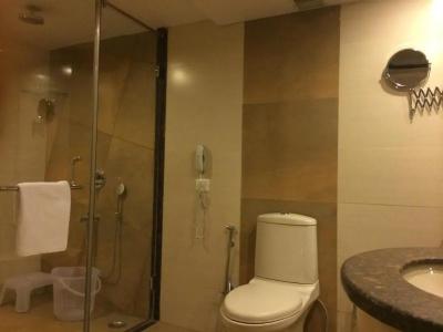 Golden Tulip Jaipur - 8
