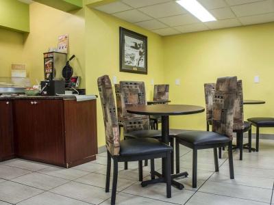Quality Inn and Suites - 19