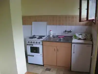 Guest house Pribojska Banja - 27