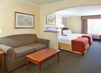 Holiday Inn Express & Suites Tucson Mall, An Ihg - 5