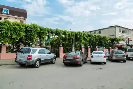 Абхаз-Лео - 0