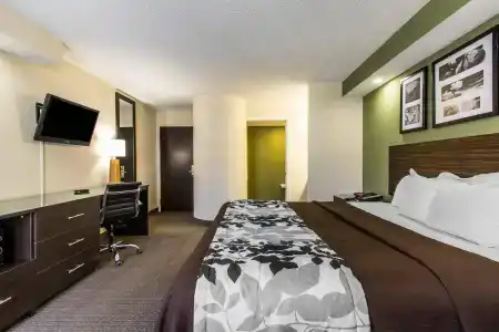 Quality Inn - 45