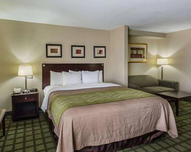 Comfort Inn & Suites Southwest Freeway at Westpark - 51