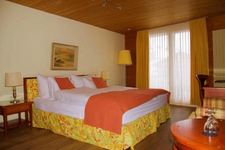 & Spa Silberhorn Wengen - 2