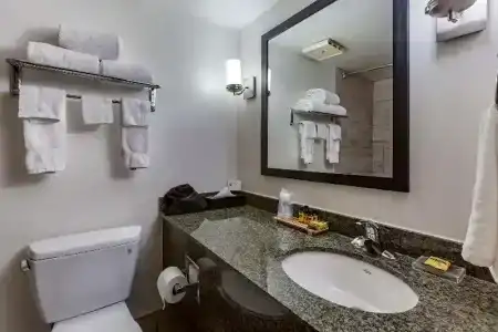 Best Western Plus Thunderbird Suites - 59