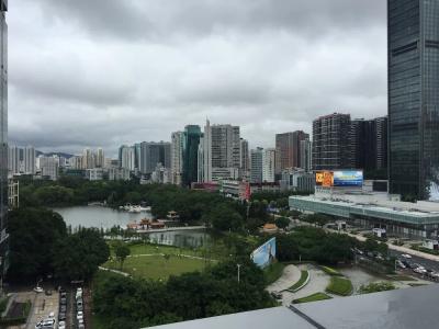 Shenzhen Novotel Watergate(Kingkey 100) - 58