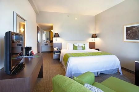 Holiday Inn Puebla La Noria, An Ihg - 87