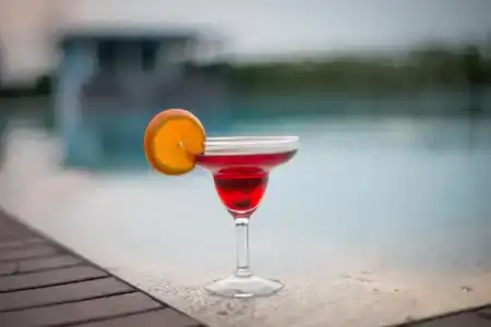 The Ziba & Spa - 8